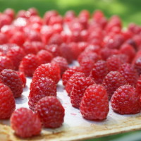 How To & Cooking Tutorials raspberries3 200x200 How To & Cooking Tutorials