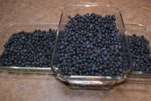 blueberry sale 21 300x200 blueberry sale 21