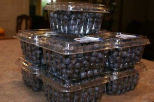 blueberry sale 300x200 blueberry sale