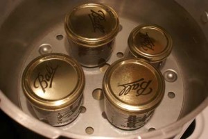 canning part 1 b1 300x200 canning part 1 b1