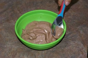 coconut milk ice cream 7 300x200 coconut milk ice cream 7
