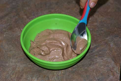 coconut milk ice cream 7 Chocolate Brownie Coconut Milk Ice Cream