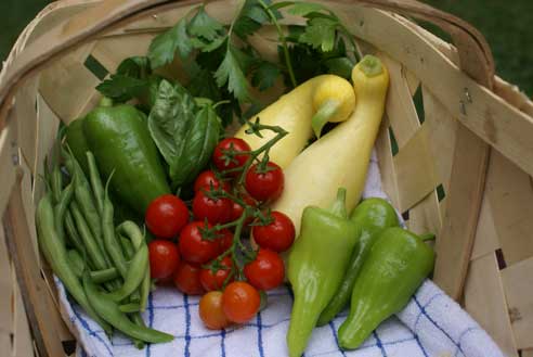 garden-harvest-001 garden harvest 001 This Weeks Garden Harvest