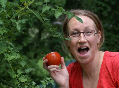 picking tomato 2 Square Foot Garden Update #8