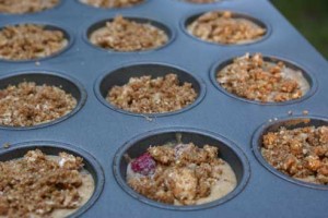 raspberry and blueberry muf 300x200 raspberry and blueberry muf