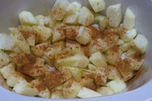 crockpot-applesauce crockpot applesauce 300x200 Kroger Shopping Trip 8/20