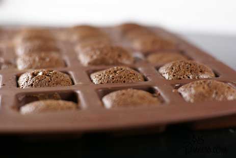raspberry-brownie-bites raspberry brownie bites Raspberry Chocolate Chip Brownies