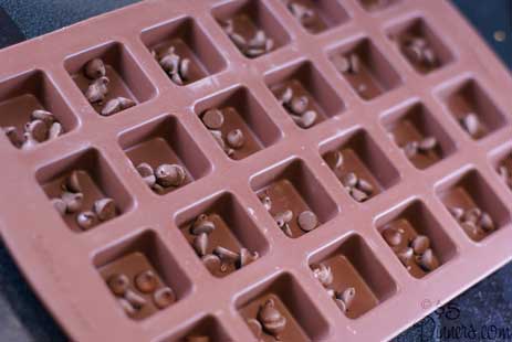 raspberry-chocolate-chips-2 raspberry chocolate chips 2 Raspberry Chocolate Chip Brownies