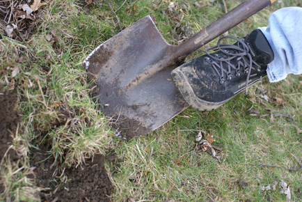 daddy-digging daddy digging Square Foot Gardening Opening the Garden