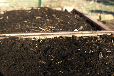dirt-in-planters dirt in planters Square Foot Gardening Opening the Garden