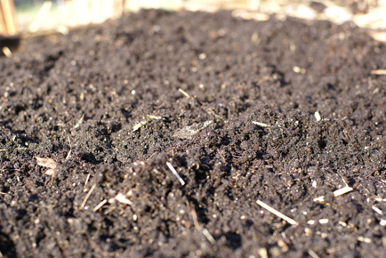 dirt dirt Square Foot Gardening Opening the Garden