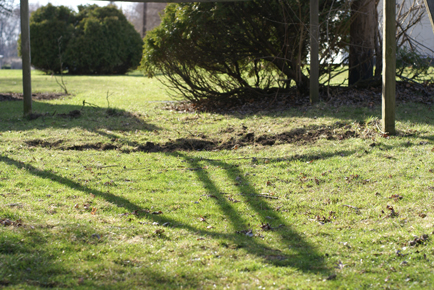 new-garden-space new garden space Square Foot Gardening Opening the Garden