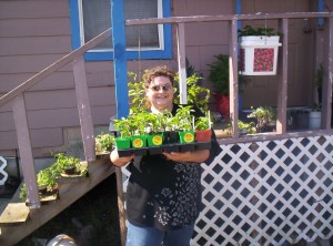 100 6861 300x222 Square Foot Gardening   Featuring Renees Garden