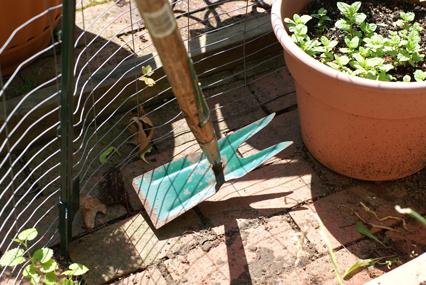 SFG-frog-7 SFG frog 7 Square Foot Gardening The Marital Counseling Edition