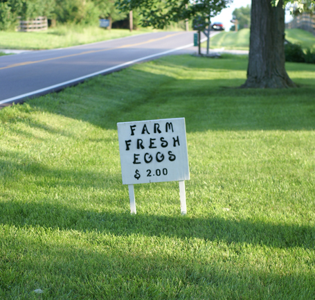 farm-fresh-eggs farm fresh eggs Farm Fresh Eggs