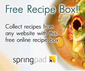 Sign Up with Springpad! 7598 280910 300x250 Springpad Online Organization Tool