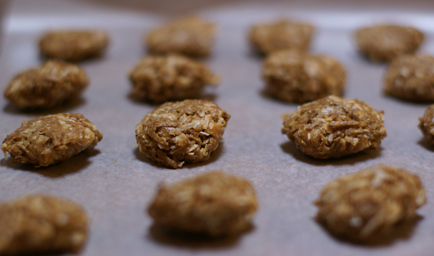 Katie's Peanut Butter Kisses peanut butter kisses CLOSED! Healthy Snacks To Go eBook Giveaway