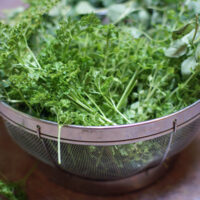How To & Cooking Tutorials garden herbs 200x200 How To & Cooking Tutorials