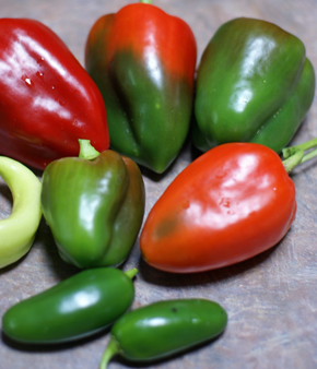 pepper-harvest pepper harvest Square Foot Gardening Peppers Harvest