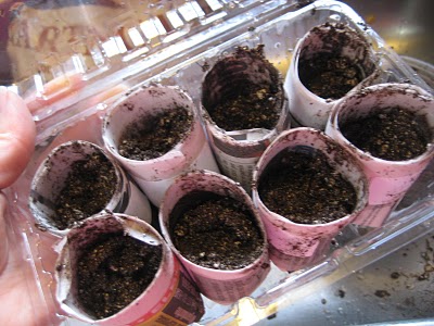 seed starters seed starters Square Foot Gardening Starting Seeds Indoors