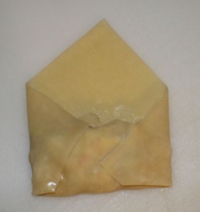 Denises Fast and Fabulous Egg Rolls egg rolls d 283x300 Denises Fast and Fabulous Egg Rolls