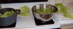 Aleas Cabbage Rolls with Turkey and Brown Rice HPIM8249 640x255 300x119 Aleas Cabbage Rolls with Turkey and Brown Rice