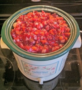 Pork Roast 4 edited Pork Roast 4 edited 273x300 Slow Cooker Cranberry Apricot Pork Roast Guest Recipe