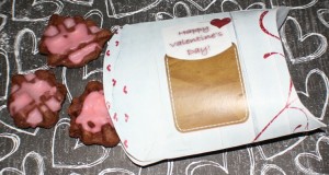 Chocolate Turtle Cookies & Printable Valentine Pillowbox vday pillowbox 300x160 Chocolate Turtle Cookies & Printable Valentine Pillowbox