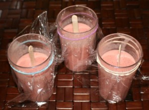 Denises Fruit Smoothie Popsicles pops3 300x222 Denises Fruit Smoothie Popsicles