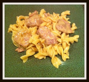 stroganoff1 300x279 Angie’s Slow Cooker Beef Stroganoff   Big Meals, Little Budget