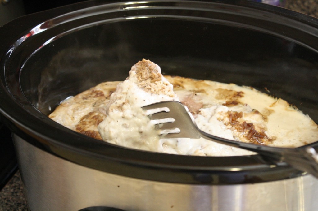 IMG 2745 1024x682 Tricias Slow Cooker Cube Steak   $5 Dinner Challenge