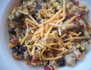 blog pics 075 300x232 Danas Santa Fe Chicken Pilaf