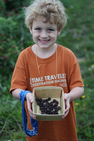 ryan-black-raspberries ryan black raspberries The Adventures in Berry Picking