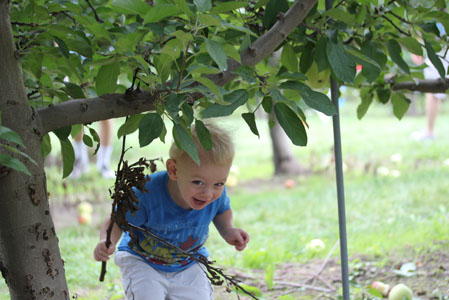 peach apple picking peach apple picking 3 Peach and Apple Picking A Labor Day Weekend Adventure