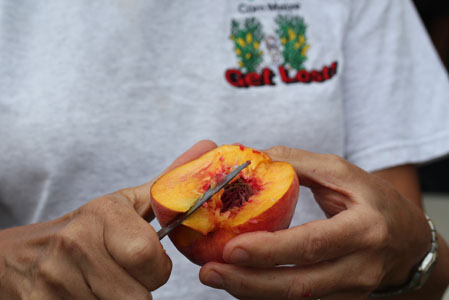 peach apple picking 5 peach apple picking 5 Peach and Apple Picking A Labor Day Weekend Adventure