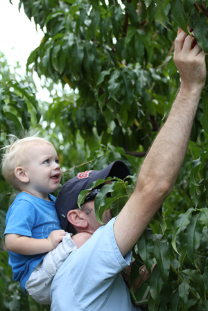 steve-and-tyler-2 steve and tyler 2 Peach and Apple Picking A Labor Day Weekend Adventure