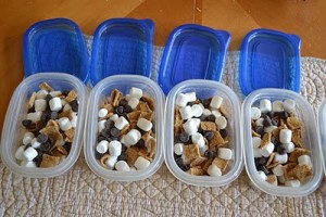 snacks 300x200 Smores on the Go  Lunchbox Inspiration