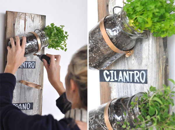 mason jar herbs mason jar herbs Mason Jar Herb Garden {Camilla Styles}
