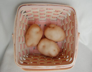 pantyhouse potatoes 300x233 Pantyhose Potatoes  Kids in the Kitchen
