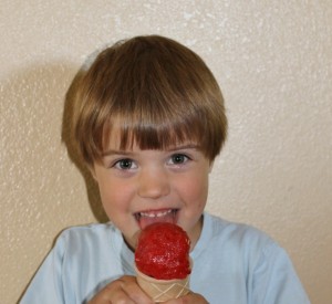 Strawberry Sorbet Dairy Free Recipe 640x588 300x275 Aleas Strawberry Sorbet