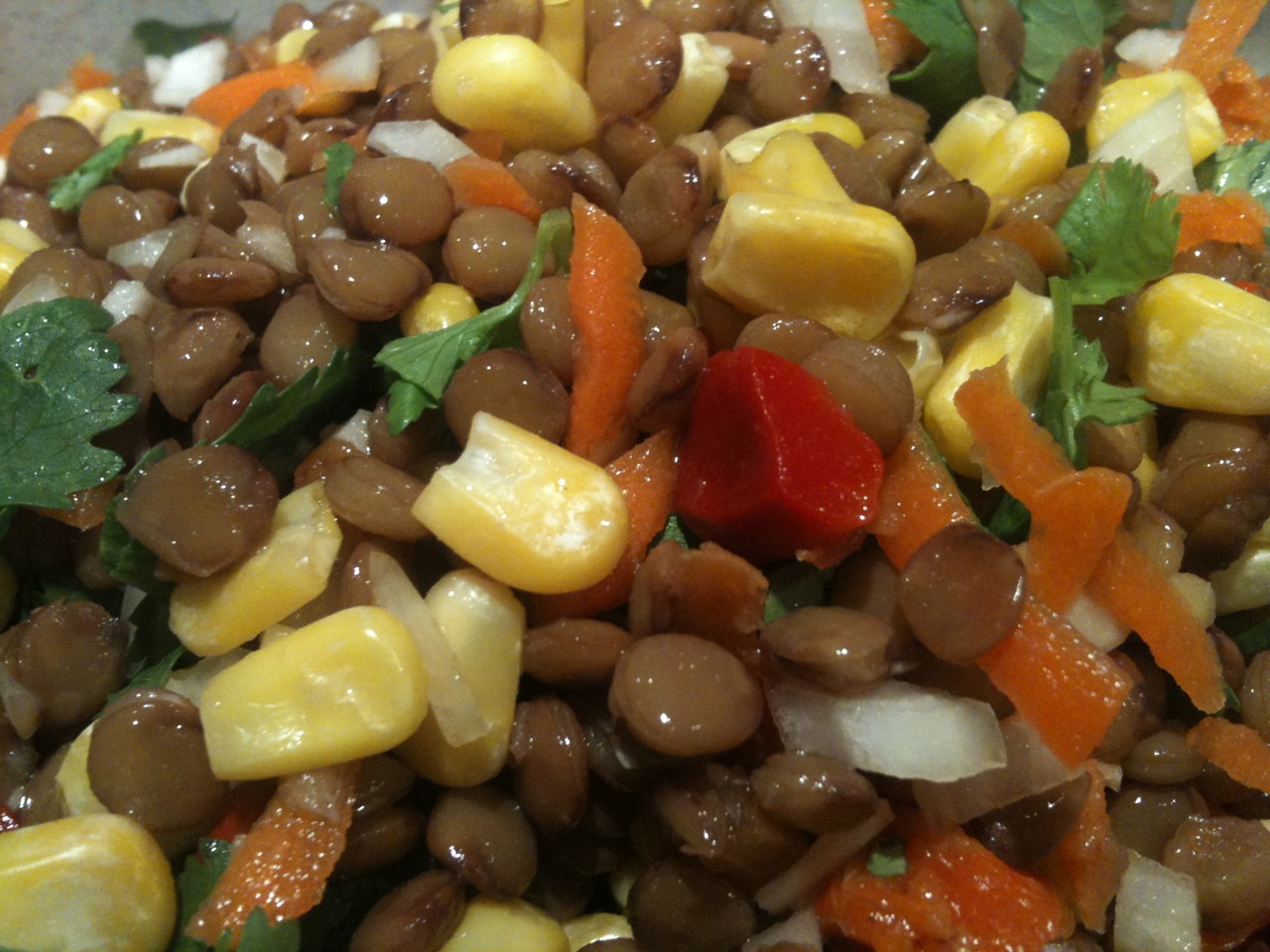 lentil salad 2 image lentils 2 Magdas Colorful Lentil Salad