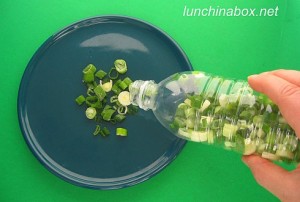 onions 300x202 Freezing Onions in Drink Bottles  Kitchen Inspiration
