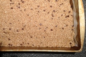 banana oatmeal squares 3 banana oatmeal squares 3 300x199 Magdas Banana Oatmeal Squares