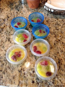 photo 16 598x800 224x300 Lunchbox Freezer Cooking: Frozen Fruit Cups