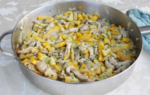 Summer Squash and Chicken Recipe Summer Squash and Chicken Recipe 640x409 300x191 Aleas Chicken and Summer Squash Skillet