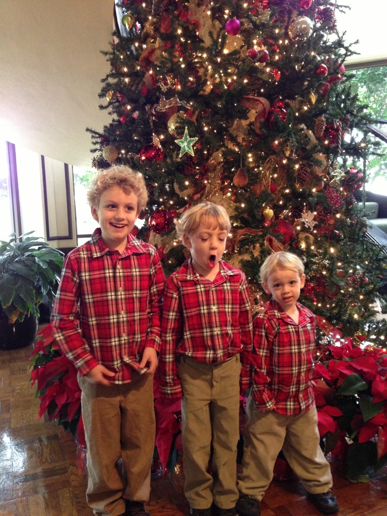 photo (17) photo 171 768x1024 A Very Merry and Blessed Christmas from The (Silly) Chases