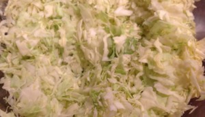 Danas Stir Fry Cabbage photo 20 300x172 Danas Stir Fry Cabbage