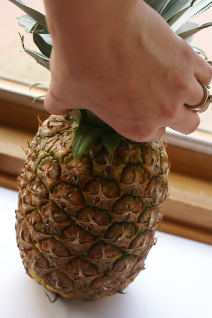 How to Select and Cut a Pineapple on $5 Dinners