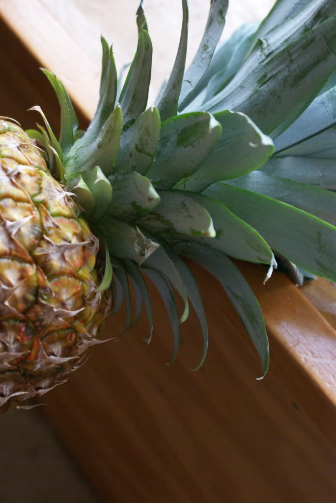 How to Select and Cut a Pineapple on $5 Dinners