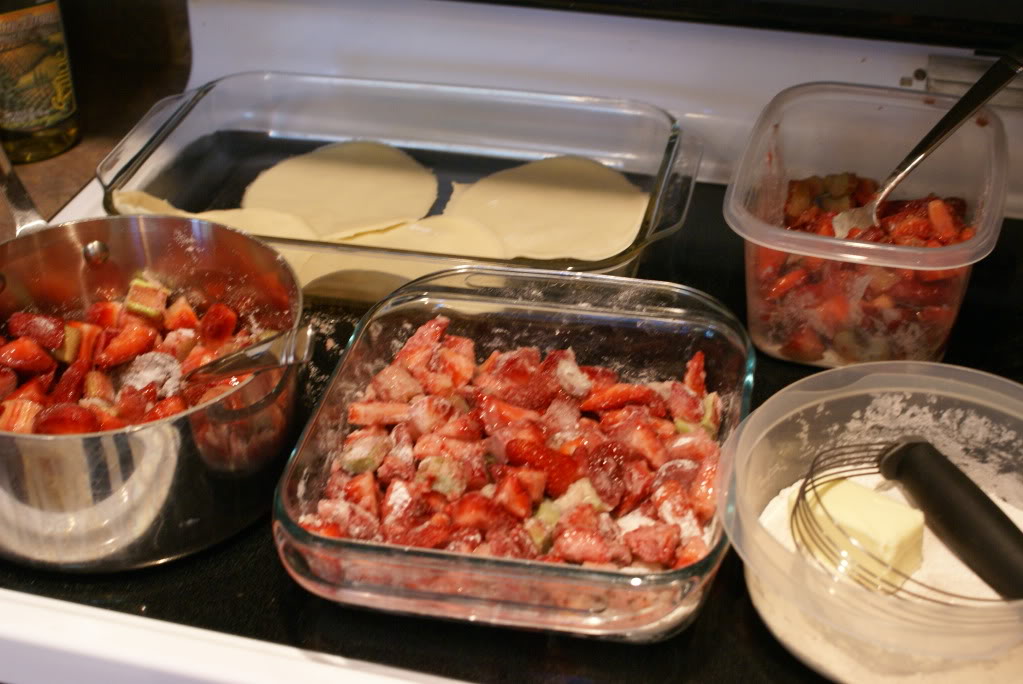 How to Cut and Prepare Rhubarb for Cooking and Freezing on $5 Dinners